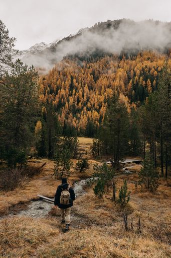 A back view of a male hiker with a backpack walking along a footpath surrounded by autumn nature scenes