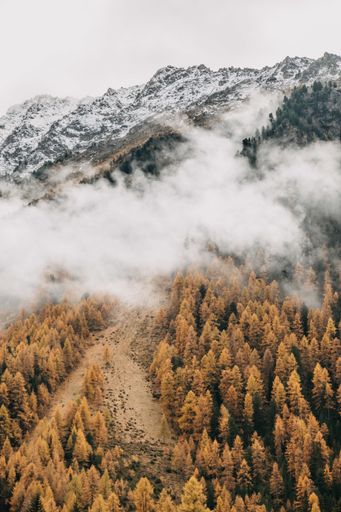 A vertical shot of low flying heavy clouds covering a densely forested mountain slope in the autumn