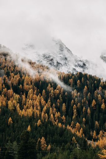 A fantastic vertical shot of low flying heavy clouds covering a densely forested mountain slope in the autumn