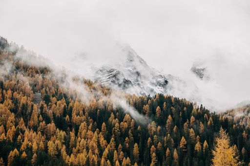 A fantastic shot of low flying heavy clouds covering a densely forested mountain slope in the autumn
