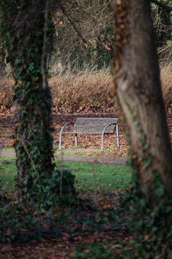 A vertical shot of a bench in a park