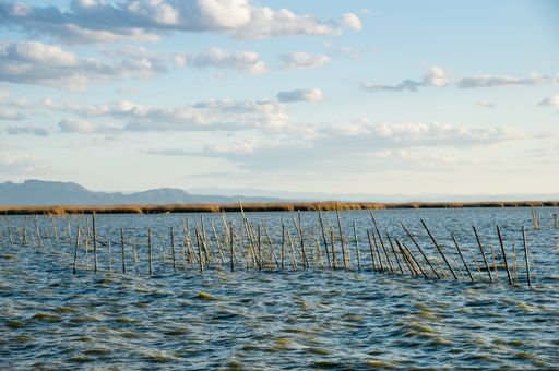 A view of Albufera in Valencia, Spain