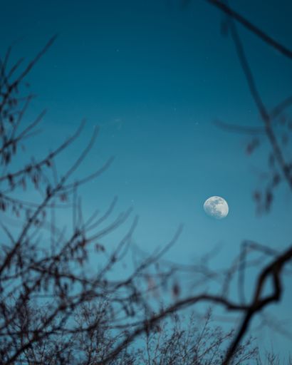 A beautiful scenery of the moon coming out over the forest during evening time