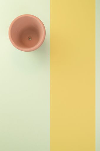 A vertical shot of an empty vase on a green surface