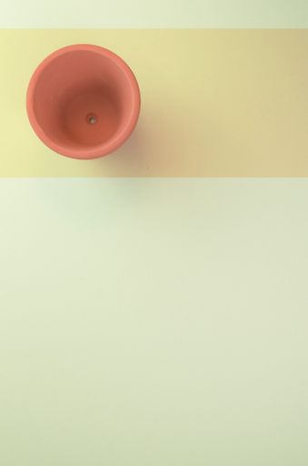 A vertical shot of an empty vase on a green surface