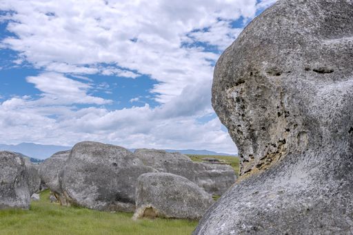 An area known as elephant rocks in the Waitaki Basin near Oamaru in New Zealand - strange limestone geologic rocks in grassland