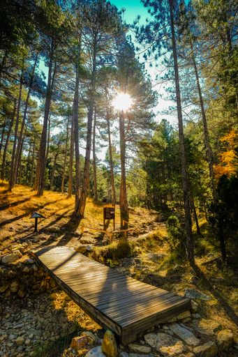 Penyagolosa Natural Park in the province of Castellon, is located between the towns of Xodos, Vistabella and Villahermosa del Rio.