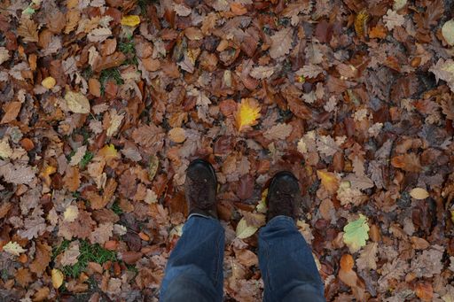 A top view of men feet on the colorful autumn leaves on the ground looking like a carpet
