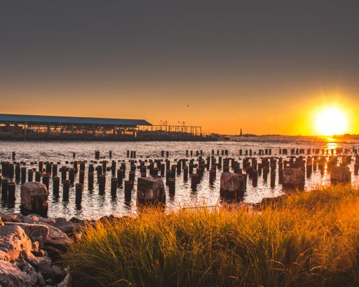 A beautiful view of a grassy field near the sea at sunset