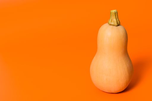 A closeup of a pumpkin on orange background