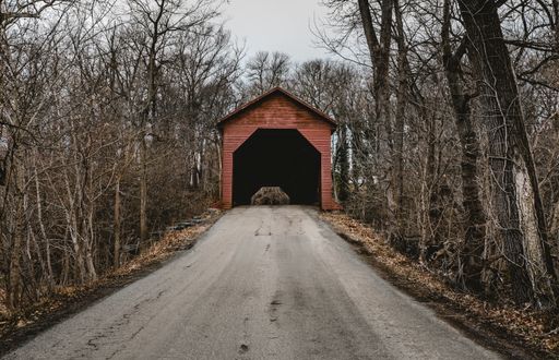 A path leading to a small red garage in the forest with bare trees in winter