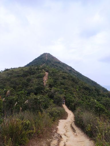 A vertical shot of people walking on a trail near the summit of Needle Hill in Hong Kong