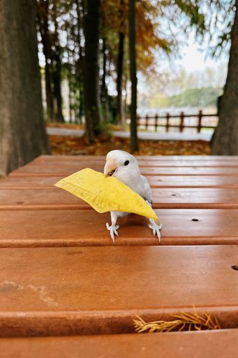 Shot with NOMO RAW at a park of shanghai