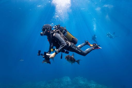 A scuba diver enjoying the beauty of the underwater world, surrounded by crystal clear waters