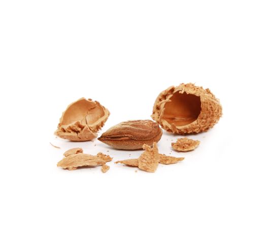 A vertical closeup shot of almond on a white background