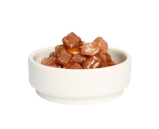 A closeup shot of a white bowl with meat cat food isolated on a white background