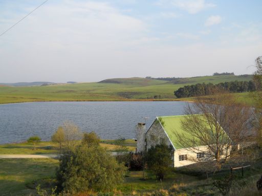 A beautiful country house on the lake coast in Natal, South Africa, surrounded by trees and green fields, on a sunny autumn day