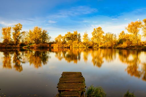 A view of a jetty in the lake at sunrise in the forest with fall colors