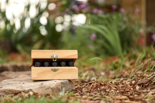 A selective focus shot of an open wooden box left on the ground