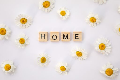 The word "Home" isolated on a white background surrounded by little Chamomile flowers