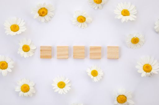 A top view shot of empty wooden blocks for text surrounded by white daisy flowers