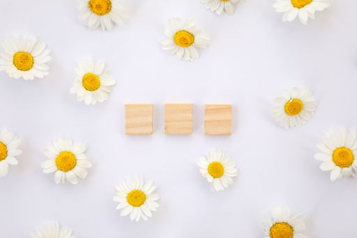 A top view shot of little cubes isolated on a white background surrounded by little Chamomile flowers