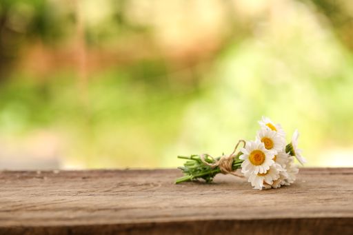 A closeup shot of a composition of beautiful daisy flowers on a wooden surface