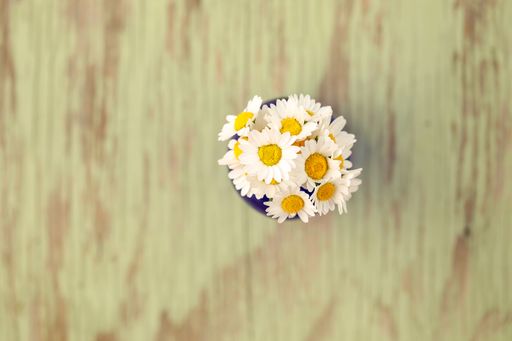 A top shot of cute Chamomile flowers in a pot on a wooden table