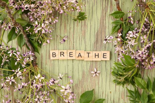 A flat lay image featuring a border of various dried flowers surrounding wooden letters spelling the word breathe