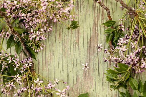 A closeup shot of an empty wood pattern for text with flower and leaves - copy space