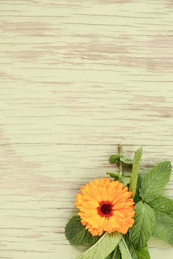 A vertical closeup shot of a beautiful calendula flower on a wooden surface with a copy space