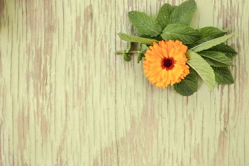 A top view shot of a Marigold flower on a wooden table