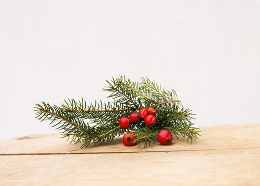 A Christmas twigs for decor on wooden table