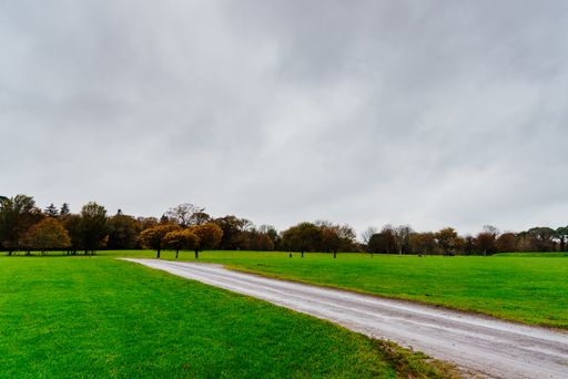 A beautiful view of a road surrounded by fresh fields under a cloudy sky