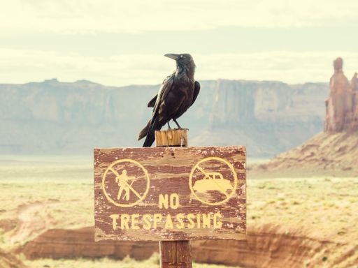 A black crow in Monument Valley, Utah, USA