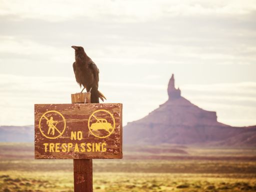 A closeup shot of a crow sitting on a sign in the background of Oljato-Monument Valley in Arizona, USA
