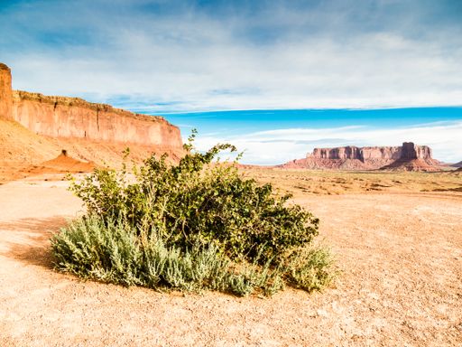 A beautiful view of Oljato-Monument Valley in Arizona, USA