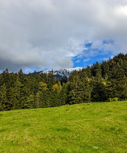 A vertical shot of a natural landscape
