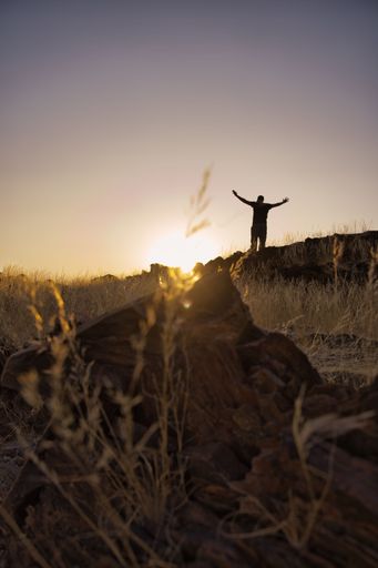 The vertical shot of a human standing before the sun - freedom concept