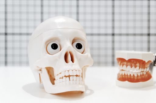 A closeup shot of a human skull toy with big eyes