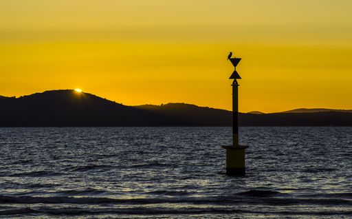 A beautiful shot of a birds silhouette sitting on a rod in the sea at sunset