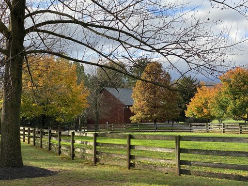 the fenced backyard with colorful trees and a house