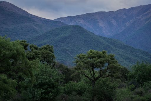 A landscape of hills covered in greenery under a cloudy sky - perfect for wallpapers