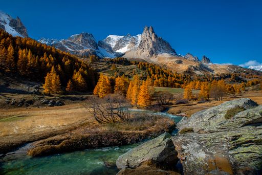 A beautiful landscape view of autumn leaves on trees with a high snow peak mountain in the background