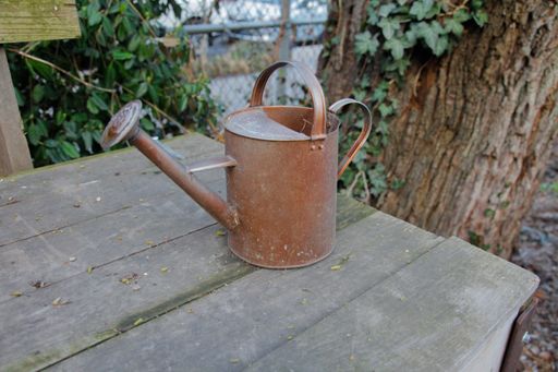 A brown rusty garden watering can on a wooden table near the tree