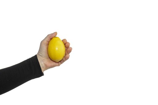 A closeup shot of a woman's hand holding a fresh whole lemon isolated on a white background