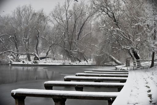 A beautiful shot of lake piers surrounded by leafless trees fully covered in snow