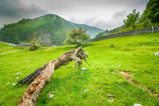 A beautiful view of the Peak District National Park with green meadows and rolling hills