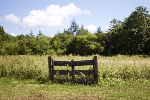 A beautiful shot of a field of grasses with a wooden gate surrounded by green trees with a cloudy blue sky in the background