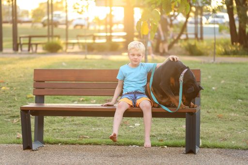 A cute blond boy with his rottweiler dog sitting on a park bench in Rockhampton, Queensland